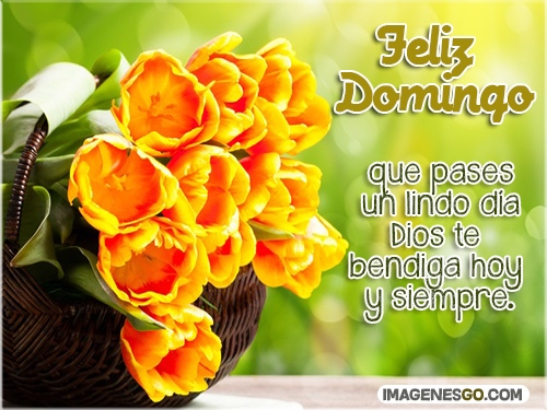 Feliz Domingo que pases un lindo día Dios te bendiga hoy y siempre.